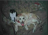 by Susan Marie Pieri