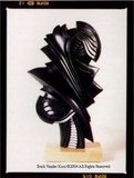by Buck Vander Kooi