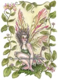 by Liselotte Eriksson