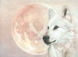 by Michaeline Wilkerson