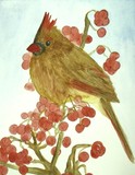 by Nancy Woolweber