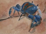 by Nancy Woolweber