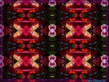 by Nira Dabush