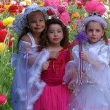 by Nira Dabush