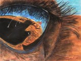 by Matthew Kemp