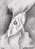 by Alberto D'Assumpcao