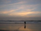 by Matt Campbell