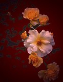 by Phillip Owen