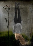 by Marijana Zebeljan