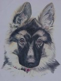 by Ruth Tyson