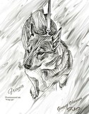 by Ginger Olansen