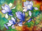 by Hafeez Shaikh