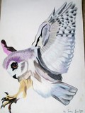 by Tracy Longley