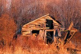 by Randy McCullough