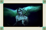 by Lisa Brewer