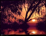 by Firdaus Emir
