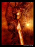 by Shawn McDonald