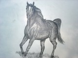 by donald penwell