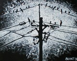 by Blake Harrison