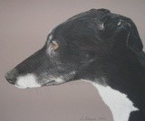 by Joanne Simpson-Connor