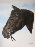 by Kathryn Lewis