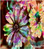 by Barry Huyett