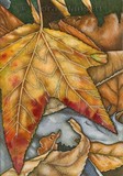 by Nora Blansett