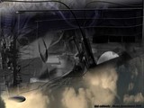 by Alvaro Arrosamena