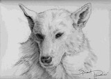 by debra abell