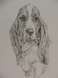 by Debbie Byess