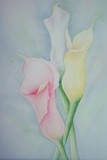 by Lori Azzolino