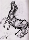 by SAFA R3D