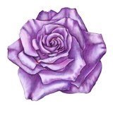 by Ruth Ducker