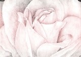 by Andi  Neal