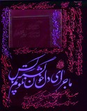 by Shahram  S. Nahavandi