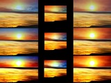 by Shelley  Walden