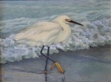 by Dan Mills