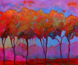 by Sara Harris