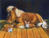 by Lyn Hamer Cook