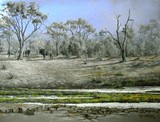by Bill Wiggan