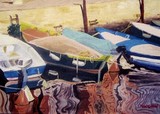 by robert minchin