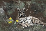 by Carole Boyd