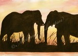 by Melanie Johnston
