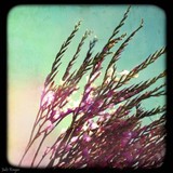 by Julie Kruger