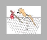 by Cheryl Garman-Andrade