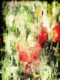 by Helmut Licht