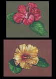 by kenneth rummel