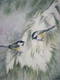 by patricia pushaw