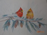 by Joanie Holliday