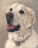 by Andrea Naylor